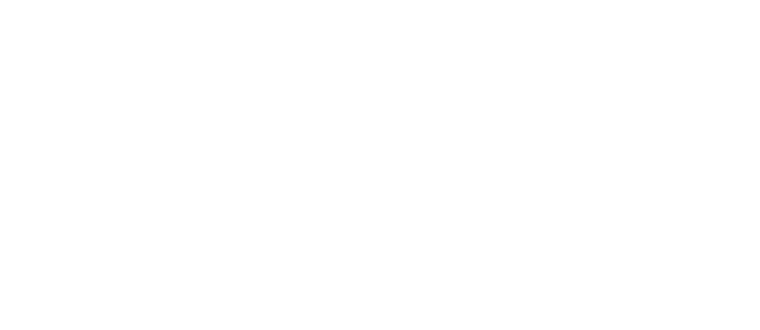 Lithion Racing Logo